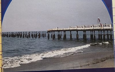 KHRS – Scientific Meeting 2013